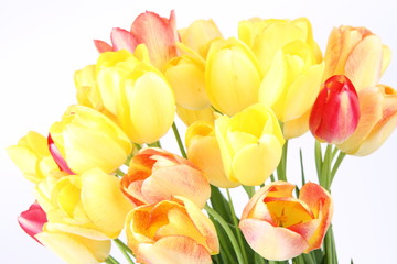 Bouquet of yellow, orange and red tulips