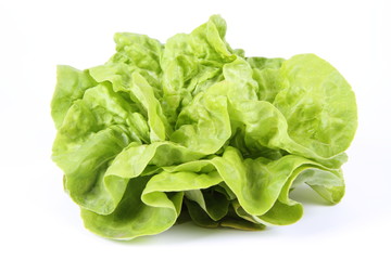 Lettuce on a white background
