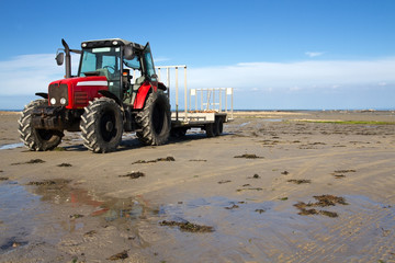 Traktor an einem Sandstrand auf der Insel Jersey, UK