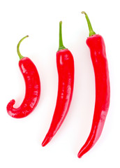 Peppers isolated on white