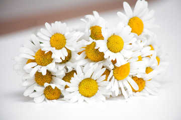 bunch of daisies