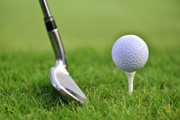 Golf ball with stick