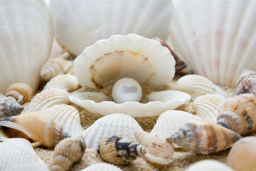 treasure from the sea