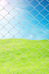 chain link fence see fresh grass and blue sky