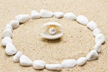 pearl on the seashell
