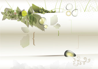 bio concept design eco friendly