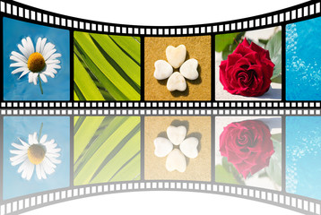 fleurs sur négatif photo en perspective