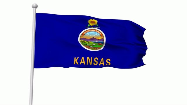 Fahne Kansas PAL