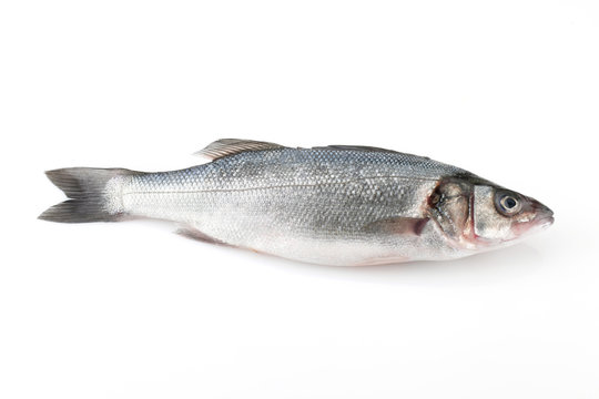 branzino