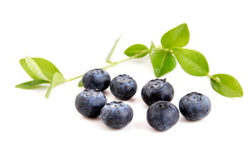 Heidelbeeren