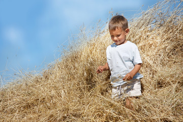 Naklejka na ściany i meble young boy in haystack