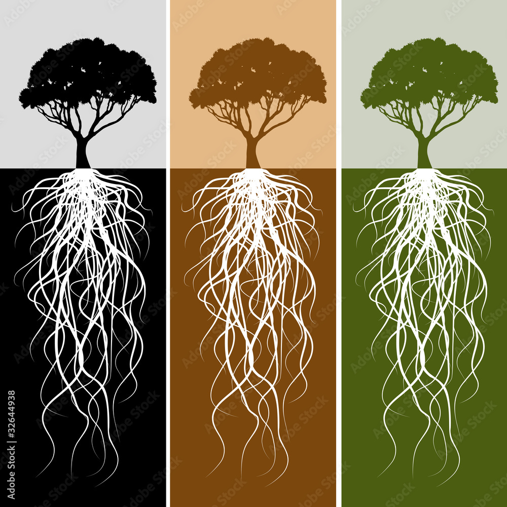 Poster vertical tree root banner set