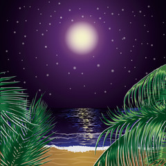 Fototapeta na wymiar Tropical night with palms, vector illustration