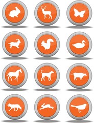 boutons animaux