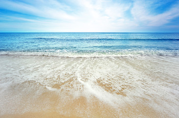 beach and tropical sea