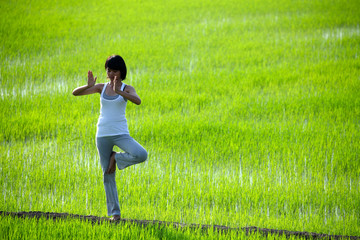 girl practicing yoga,standing in paddy field