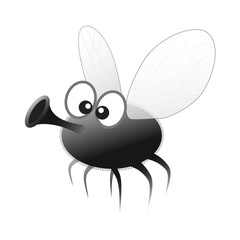 fliege