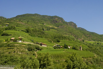Fototapeta na wymiar Renon Plateau w Włoski Tyrol Włochy