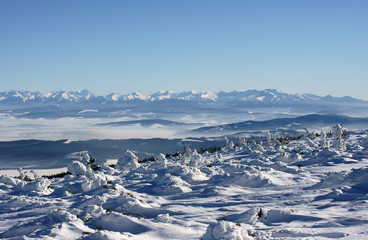 widok na ośnieżone Tatry 3