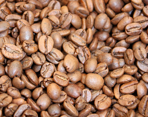 A Layer of Fresh Brown Coffee Beans.