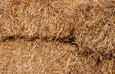 straw