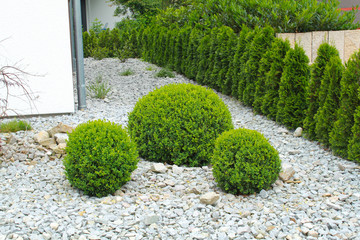 Gartengestaltung