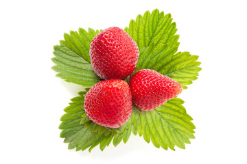 strawberry on leaves