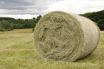 Rouleau de foin