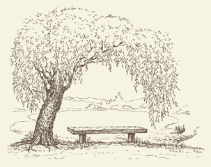 Obraz premium Old bench under a willow tree by the lake