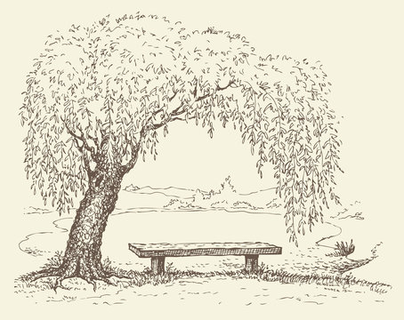 Old  bench under a willow tree by the lake