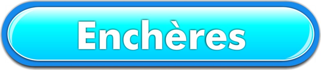 bouton enchères