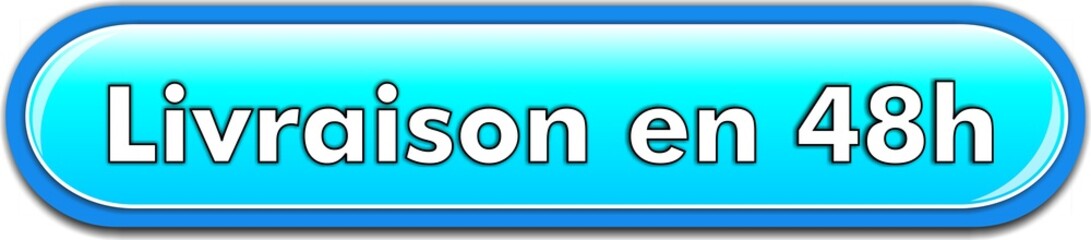 bouton livraison en 48h
