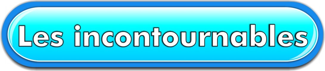 bouton les incontournables