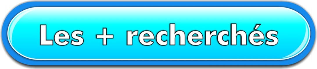 bouton les + recherchés
