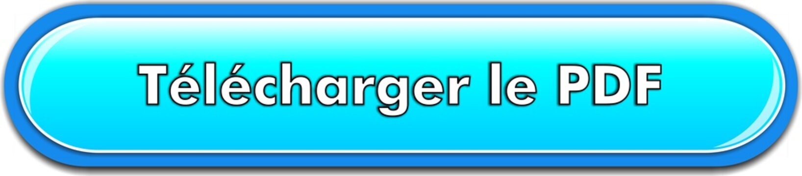 bouton t&eacute;l&eacute;charger le PDF