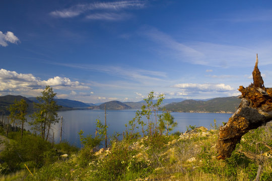 Calm lake landscape