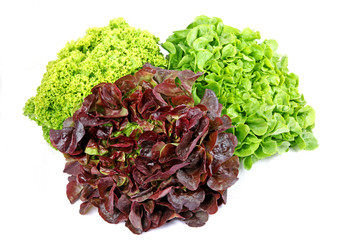 Drei Sorten Salat