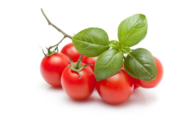 Fresh Tomato And Basil