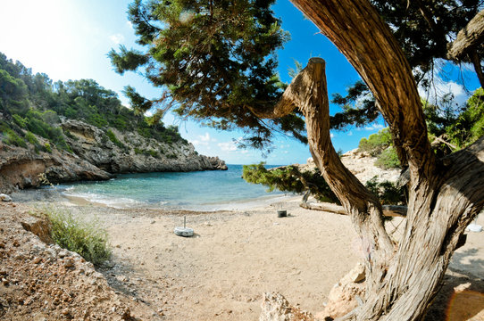 Cala Olivera - ibiza