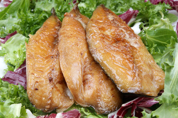 geräucherte Makrelenfilets auf einem frischen Salatbett