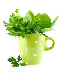 green parsley and spinach