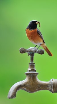 El agua en la naturaleza.