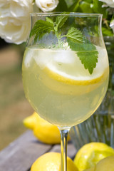 Cocktail with lemon slices and ice cubes