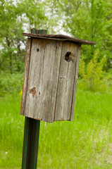 Bird House