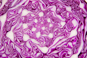 Red Cabbage