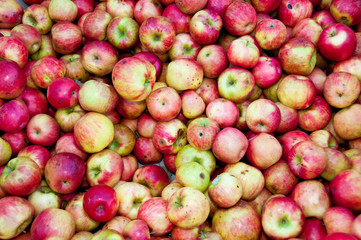 Fototapeta na wymiar Tons of Apples