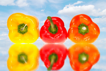 Peppers on the Water