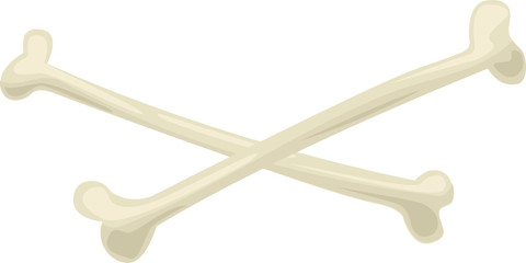 Cross bone