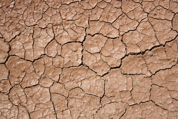 Cracked and dried mud