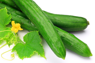 cucumber
